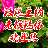 克拉瑪依中華玫瑰園開園--克拉瑪依日報融媒體